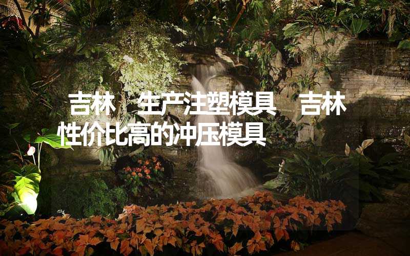 吉林 生产注塑模具 吉林性价比高的冲压模具